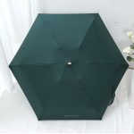Outdoor Mini Sun Umbrella UV Ultralight Protection - Image 4